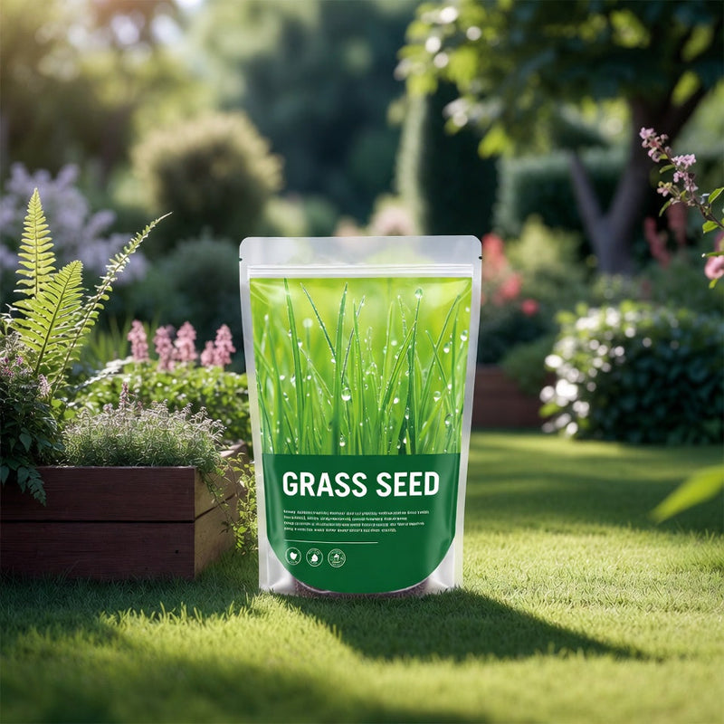 Grass Seed