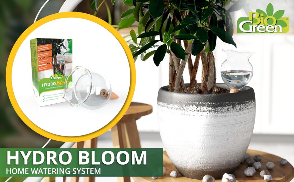 Biogreen Hydro Bloom Self-Watering Globe – Eco-Friendly Plant Care Solution, 200ml Capacity
