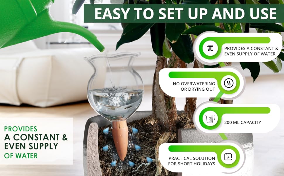 Biogreen Hydro Bloom Self-Watering Globe – Eco-Friendly Plant Care Solution, 200ml Capacity