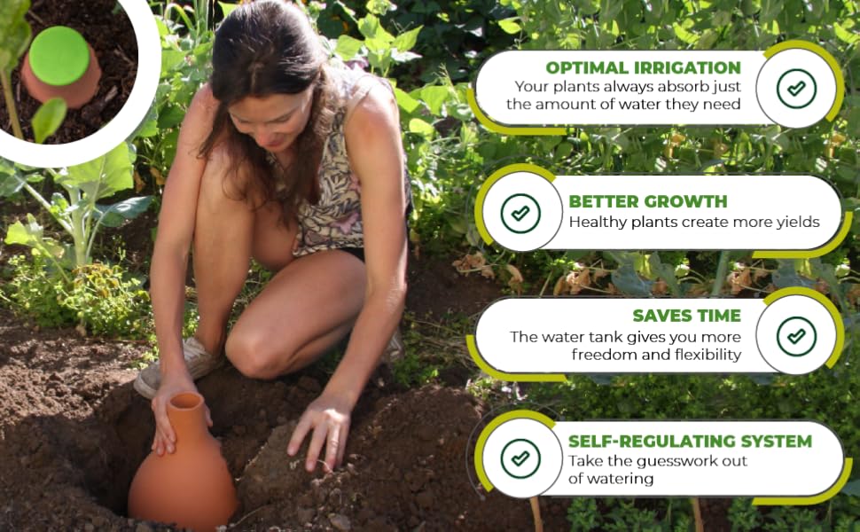 Hydro Max Watering Vessel by Biogreen – Self-Regulating Plant Watering System for Efficient Irrigation