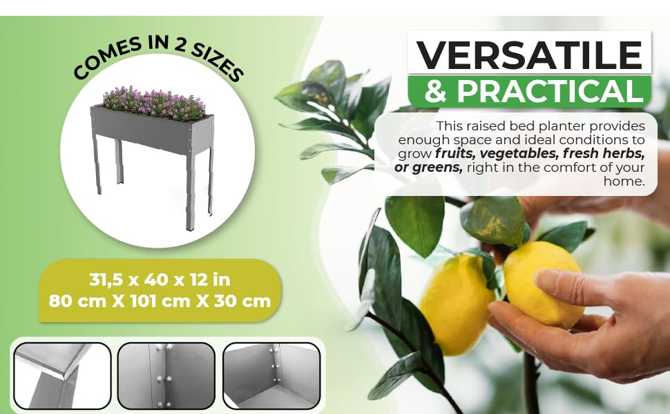Biogreen Freising Metal Raised Bed – Galvanized Steel Planter Box for Patio & Balcony Gardening