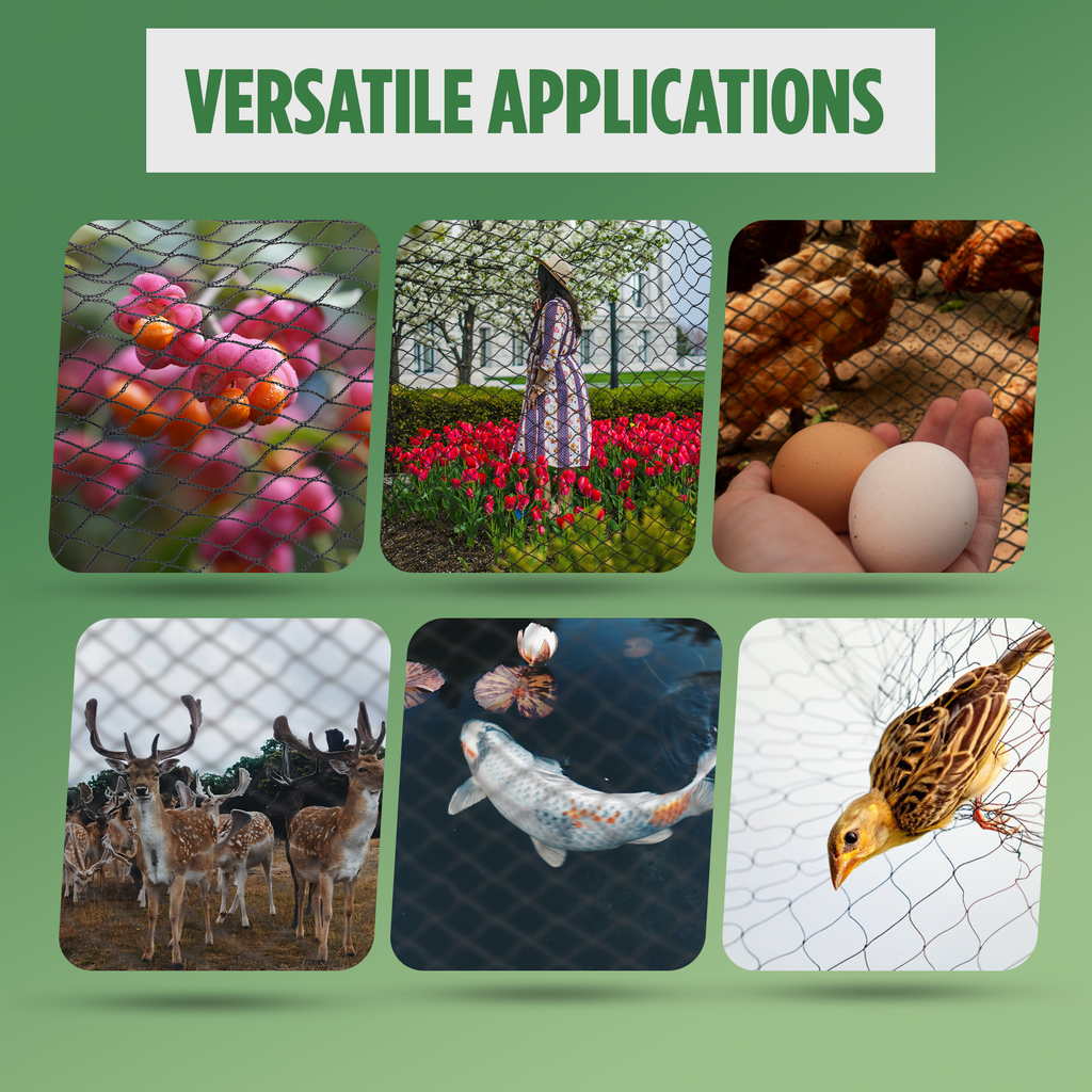 "Versatile Bird Netting Applications: Protecting plants, flowers, and gardens; safeguarding chickens and eggs; keeping deer away; securing fish ponds; and preventing bird damage to crops."