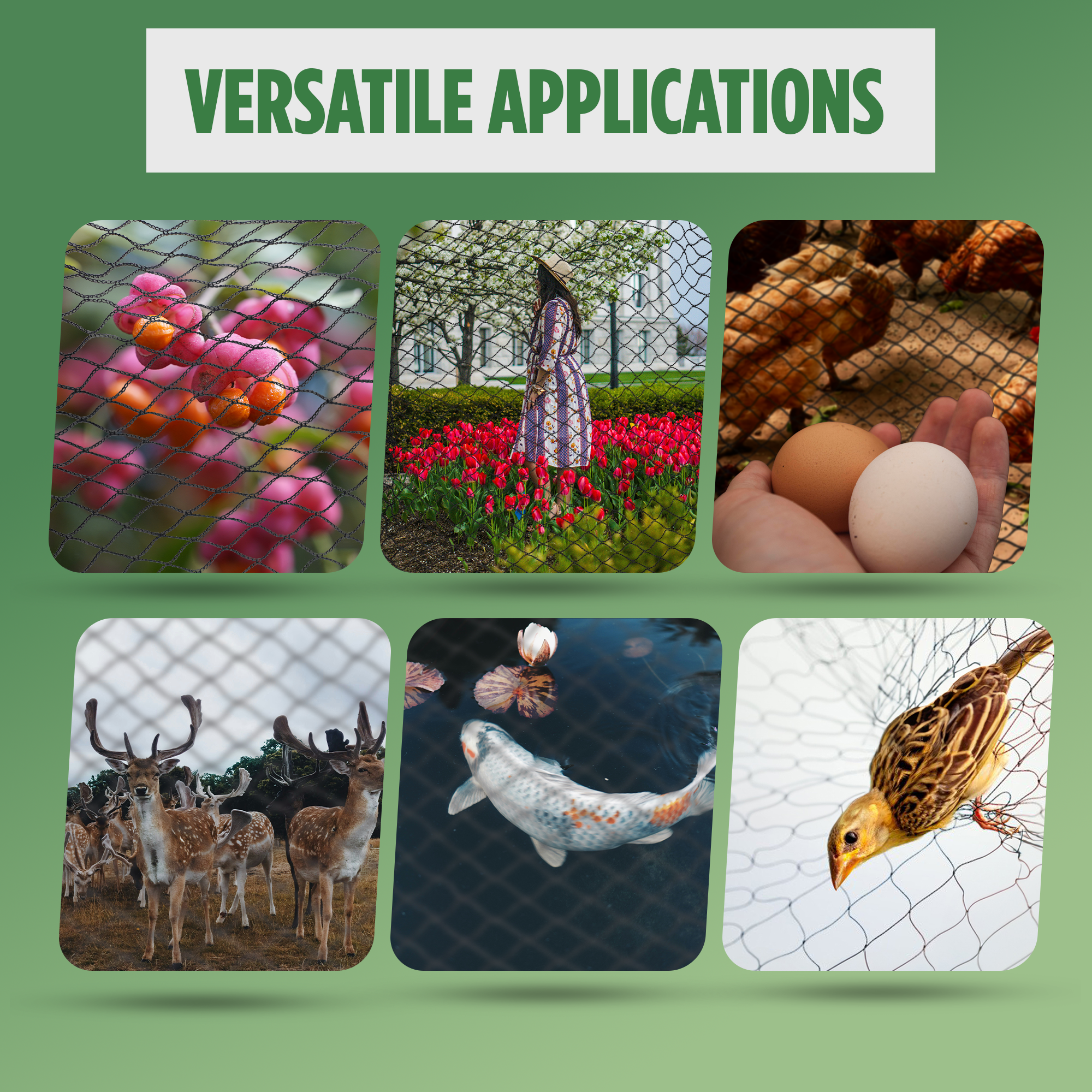 "Versatile Bird Netting Applications: Protecting plants, flowers, and gardens; safeguarding chickens and eggs; keeping deer away; securing fish ponds; and preventing bird damage to crops."