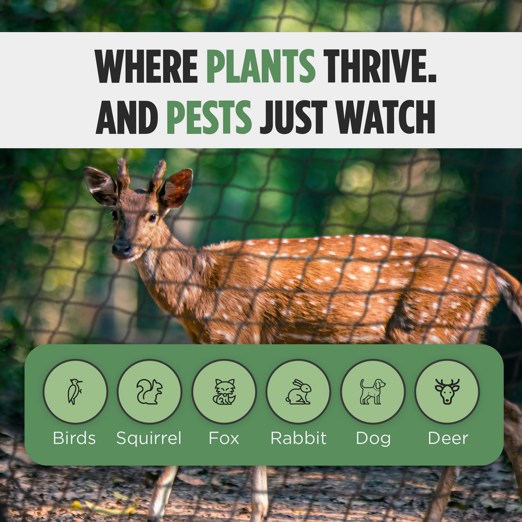 "Protect your plants from birds, squirrels, foxes, rabbits, dogs, and deer with this bird and pest netting, allowing your plants to thrive while keeping pests at bay."