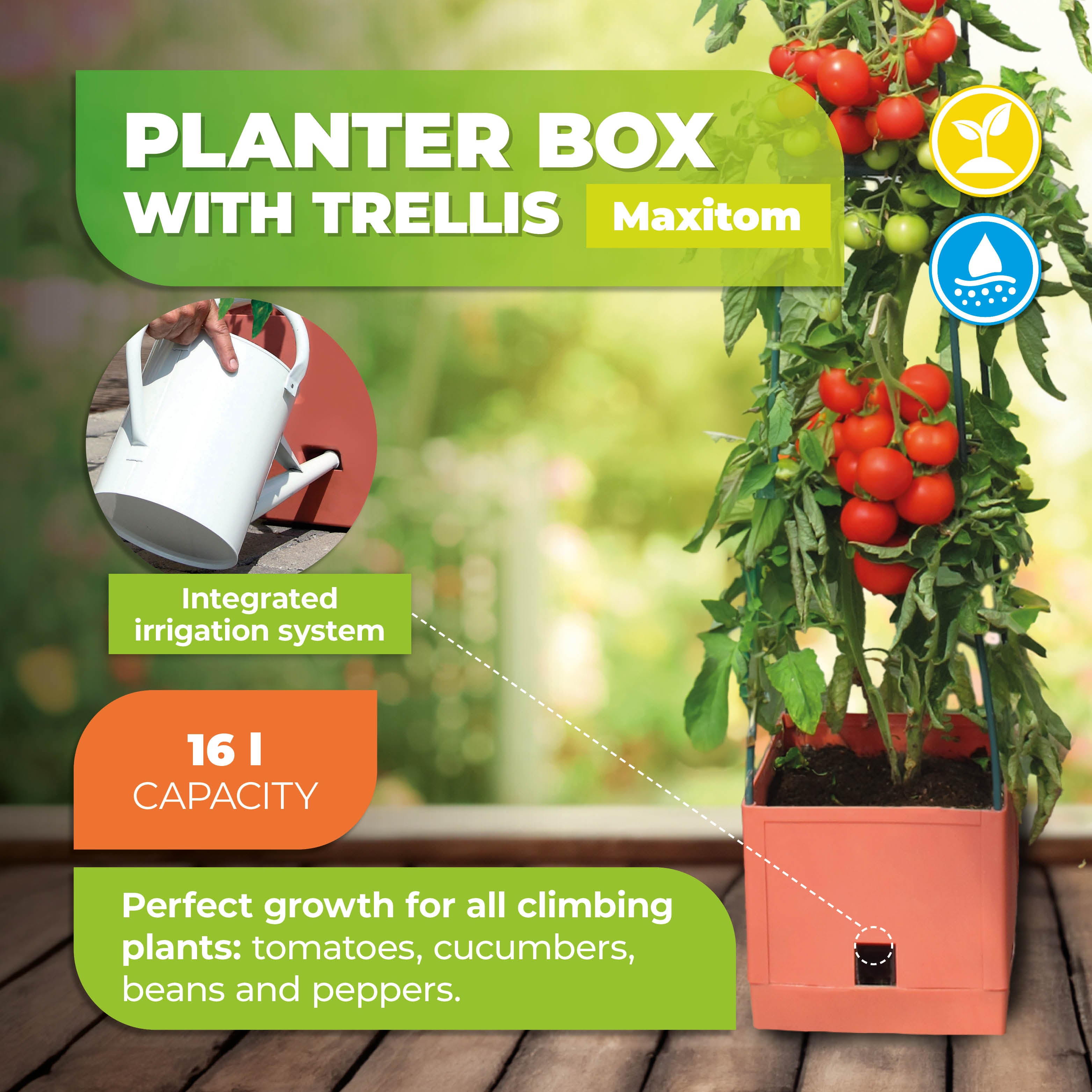 "Maxitom planter box with trellis and integrated irrigation system, featuring a 16-liter capacity, ideal for climbing plants like tomatoes, cucumbers, beans, and peppers."
