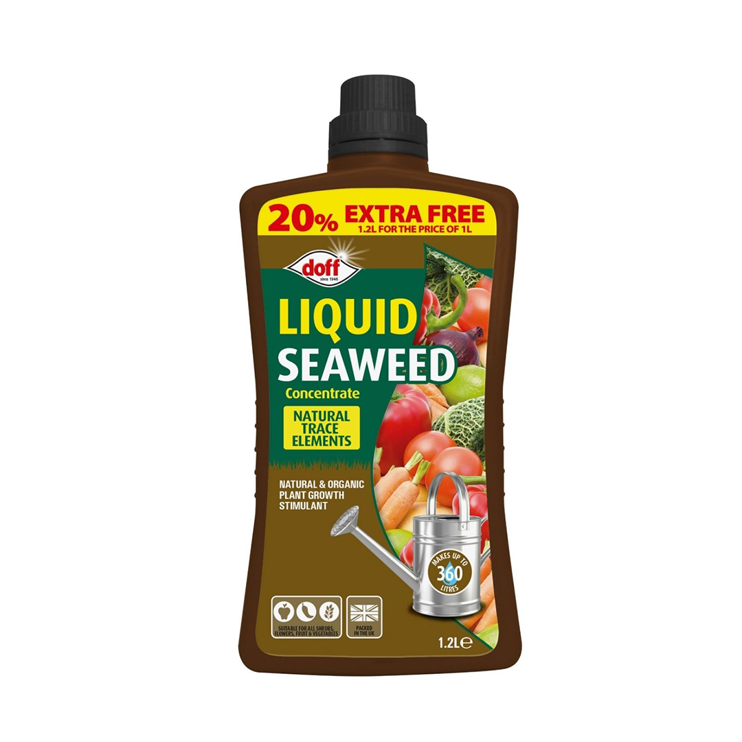 Doff Liquid Seaweed Concentrate 1.2L bottle, organic seaweed plant feed with natural trace elements for vegetables, flowers, and garden plants with 20% extra free label
