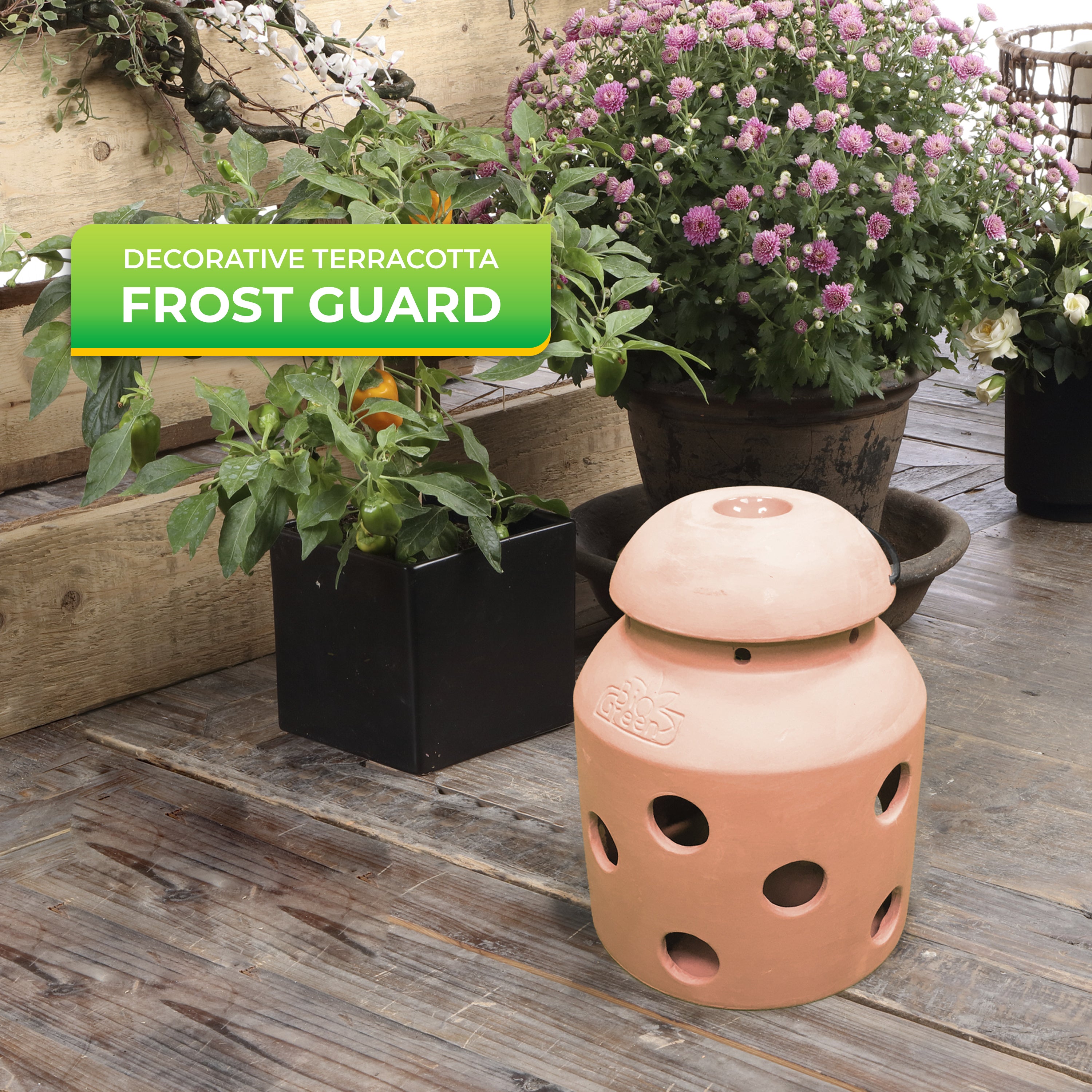 This image features a Biogreen Firefly Terracotta Frost Guard, a decorative and functional plant heater designed to protect plants from frost. The terracotta heater is placed in a garden setting, offering frost protection while adding an aesthetic touch to the outdoor space. The heater is powered by renewable biomass candles, ensuring eco-friendly and consistent heat for plant safety during cold weather.