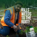 Gallup glyphosate weed killer 1L eliminating garden weeds at the root during outdoor weed control