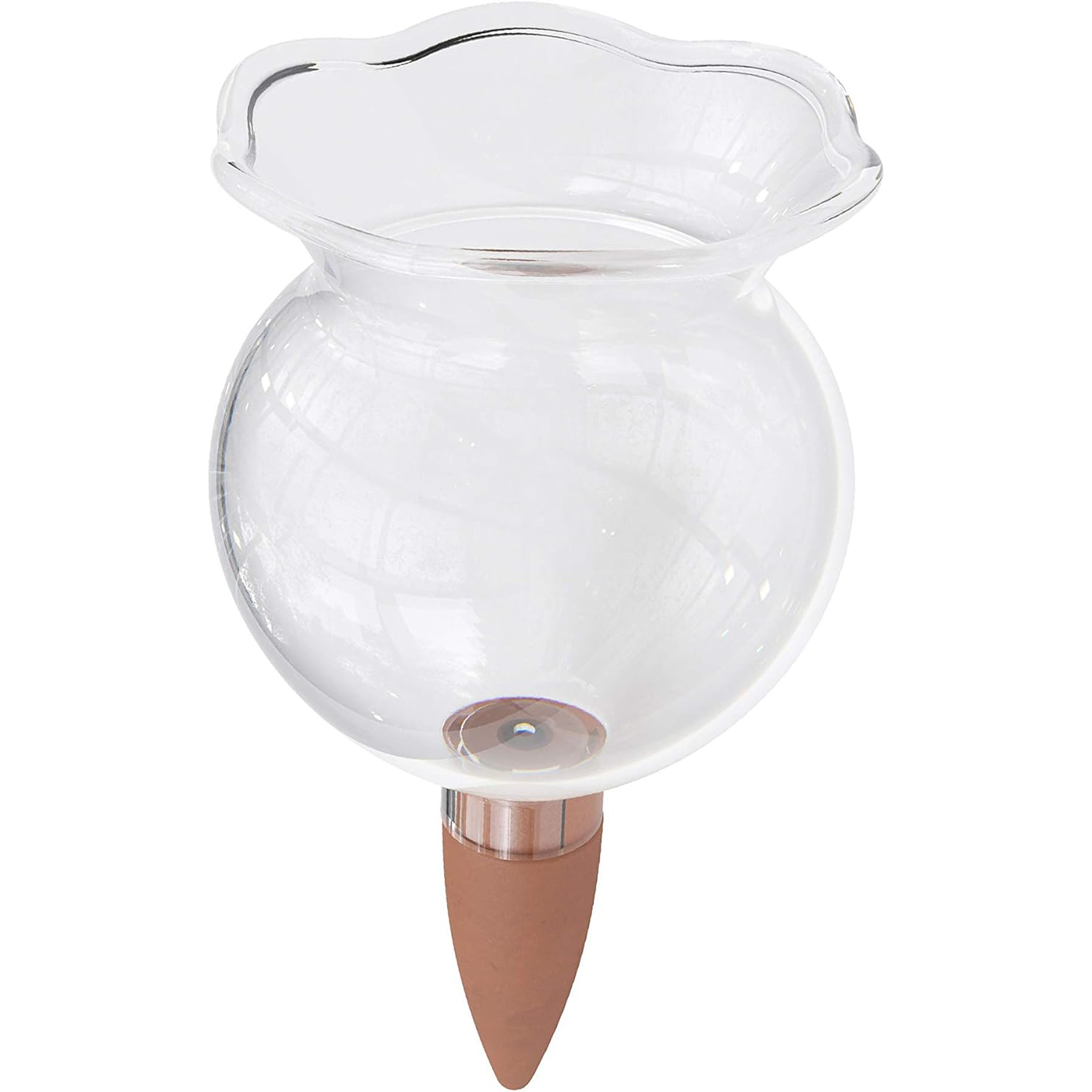 Biogreen Hydro Bloom Self-Watering Globe – A clear glass self-watering globe with a decorative, fluted top and a clay spike at the bottom. The globe provides a simple, eco-friendly solution for watering plants by automatically releasing water to the soil as it dries out. Perfect for small to medium-sized indoor plants.