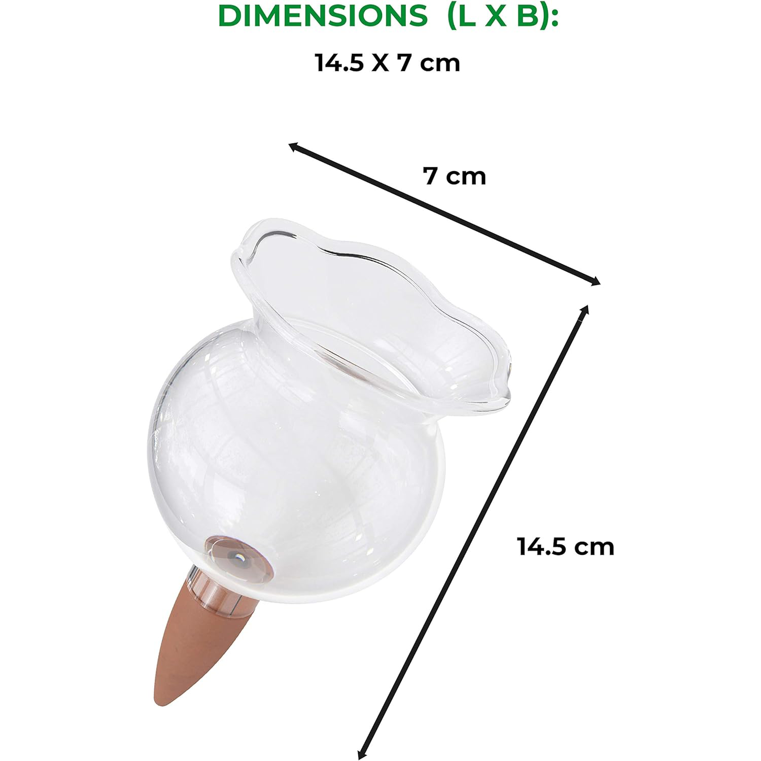 Biogreen Hydro Bloom Self-Watering Globe Dimensions – The image shows the Biogreen Hydro Bloom Self-Watering Globe with its dimensions labeled as 14.5 cm (length) by 7 cm (width). The globe has a fluted top and a clay spike at the bottom, designed for efficient watering of plants by releasing water slowly into the soil.