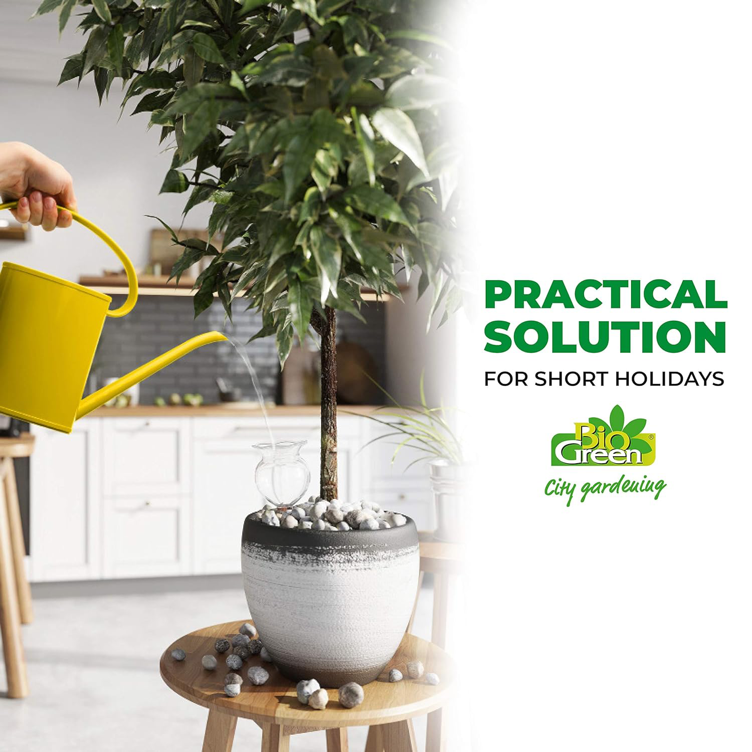 Biogreen Hydro Bloom Self-Watering Globe – Practical Solution for Short Holidays – The image shows the Biogreen Hydro Bloom Self-Watering Globe being used as a practical watering solution for plants during short holidays. A person is watering a potted plant with a yellow watering can, while the self-watering globe provides consistent hydration to the plant. The text highlights that this product is perfect for plant care during short vacations, ensuring plants stay hydrated without daily maintenance.