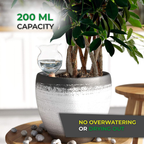 Biogreen Hydro Bloom Self-Watering Globe – 200ml Capacity – The image shows a Biogreen Hydro Bloom Self-Watering Globe with a 200ml capacity, positioned in a potted plant. The globe ensures consistent hydration, preventing both overwatering and drying out of the plant. The caption highlights its effectiveness in maintaining optimal moisture levels for healthy plant growth.
