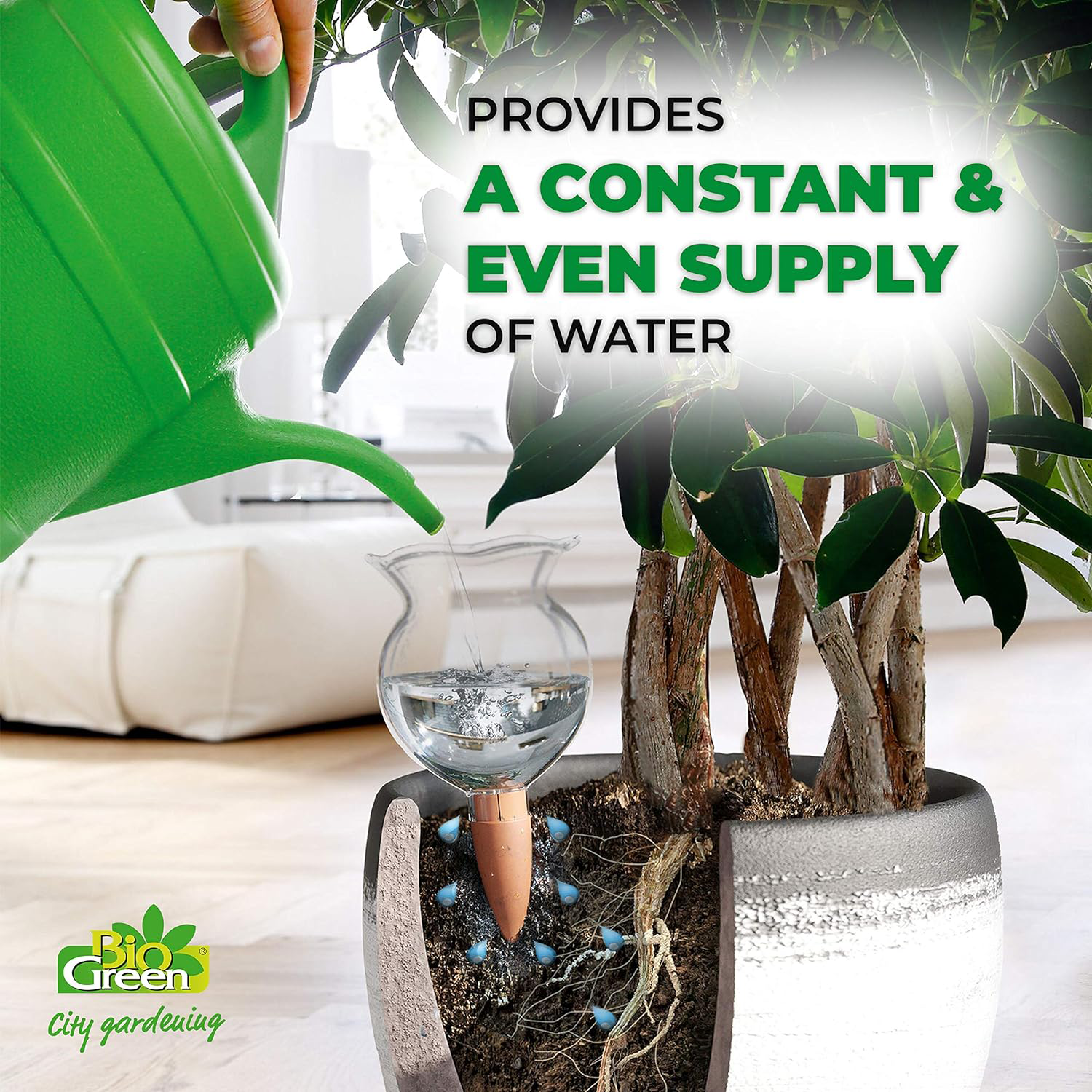 Biogreen Hydro Bloom Self-Watering Globe – Constant & Even Water Supply – The image shows the Biogreen Hydro Bloom Self-Watering Globe providing a consistent and even water supply to a potted plant. A green watering can is seen in the background, while the globe ensures continuous hydration directly to the plant’s roots, maintaining optimal moisture levels. The caption emphasizes its ability to provide steady hydration without overwatering.