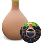 Hydro Max Watering Vessel – A terra cotta-colored self-watering vessel with a green top, designed for efficient plant hydration. The image also shows a close-up illustration highlighting how the vessel delivers water directly to the plant roots, ensuring consistent hydration while reducing water waste.