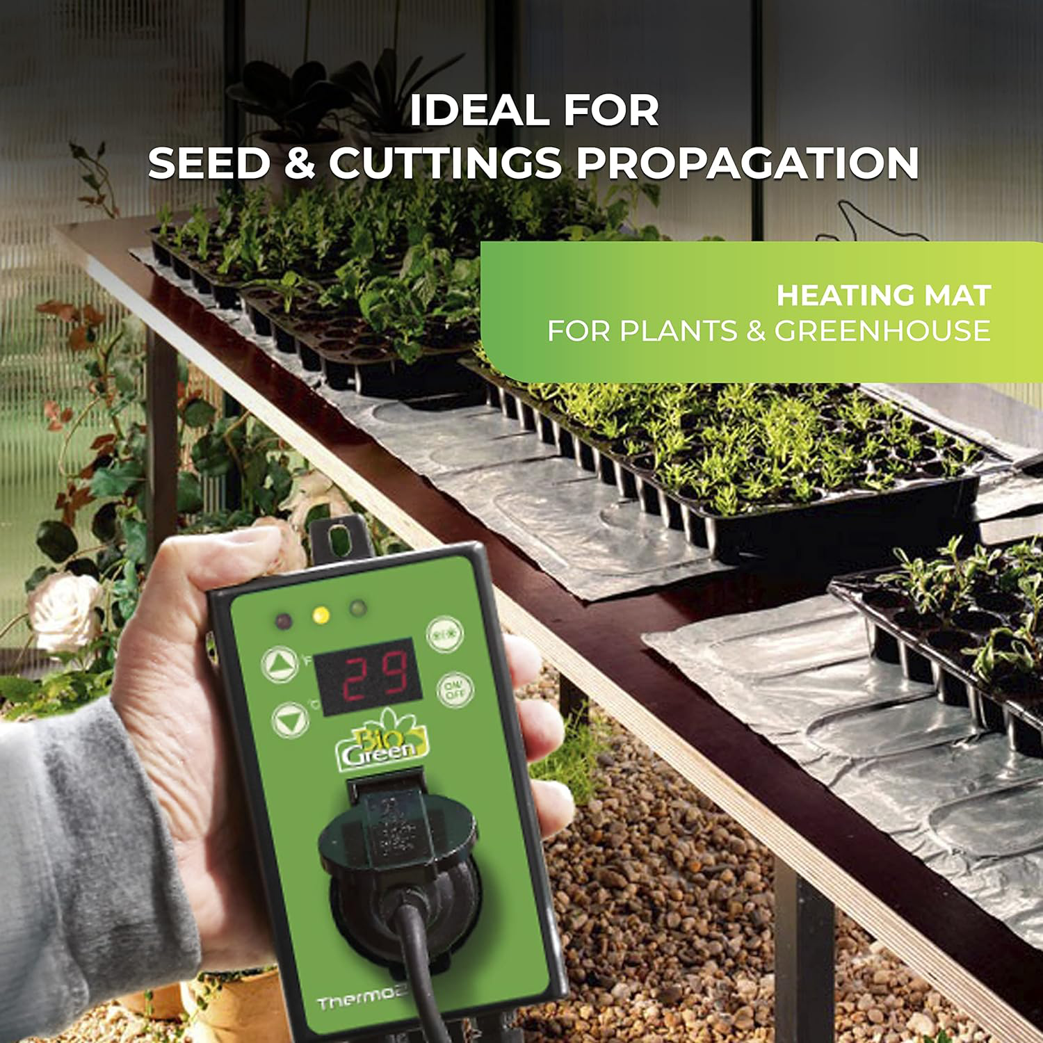 Bio Green Thermo2 Digital Thermostat with heating mat, ideal for seed and cuttings propagation in greenhouse environments.