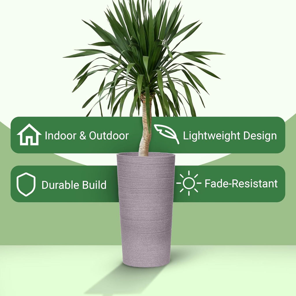 Moorgreen Blackrock tall round planter with plant showing indoor outdoor use lightweight durable fade resistant design