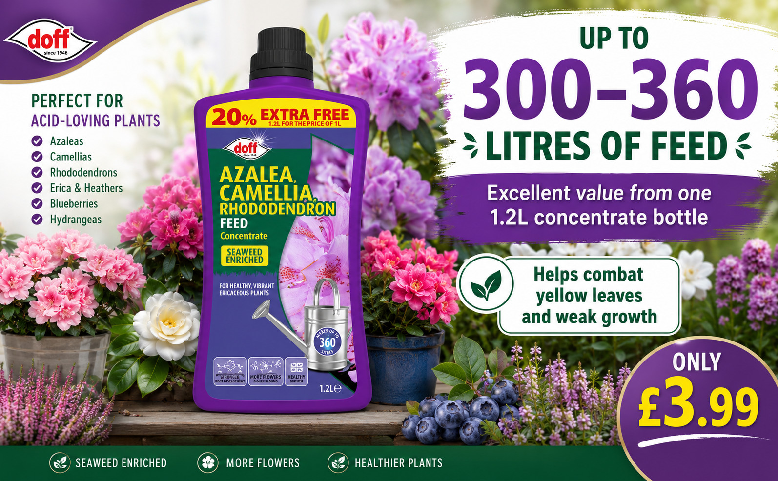 Doff Ericaceous Fertiliser 1.2L – 360L Concentrate