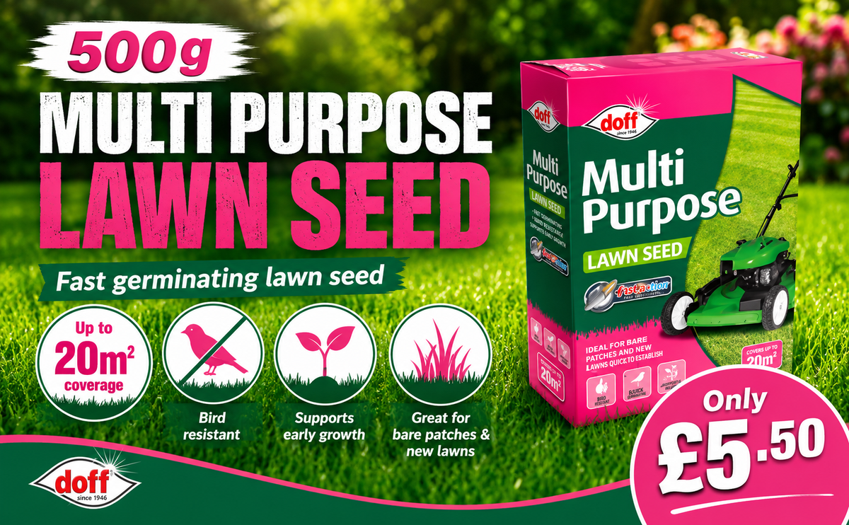Doff Grass Seed 500g – Fast Germinating Lawn Seed