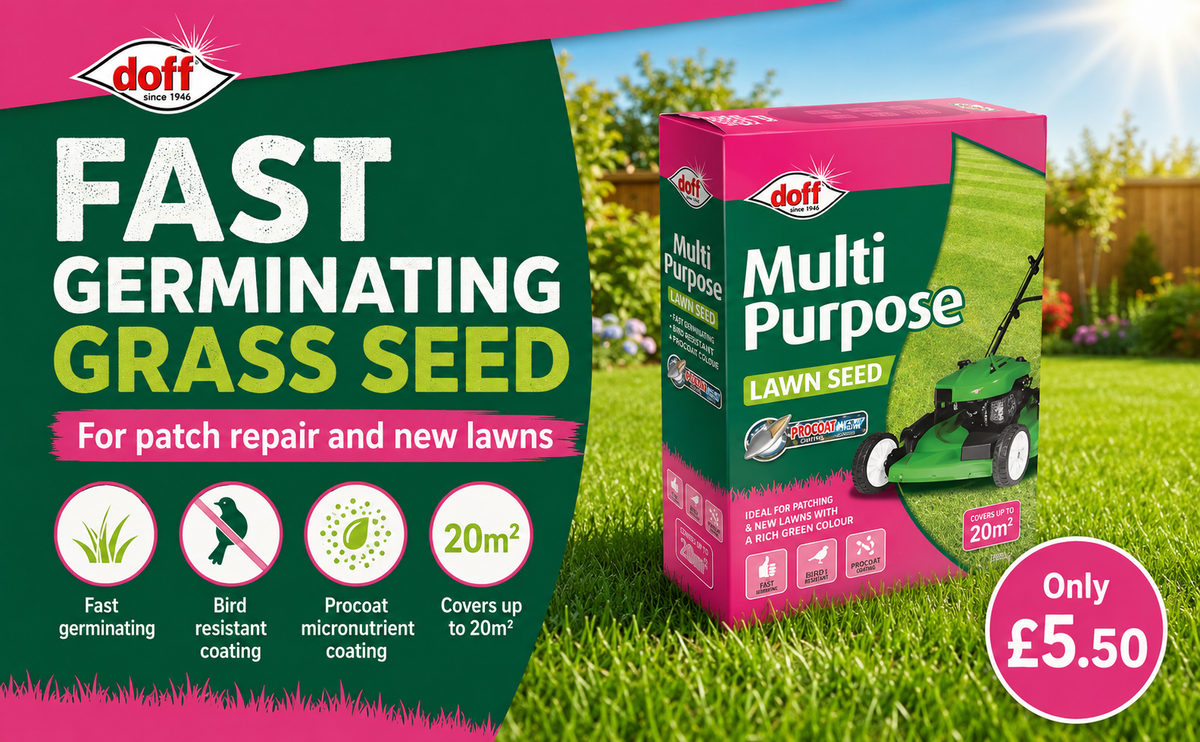 Doff Grass Seed 500g – Fast Germinating Lawn Seed