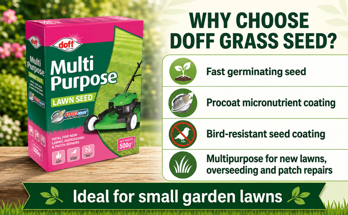 Doff Grass Seed 500g – Fast Germinating Lawn Seed