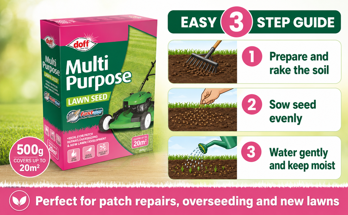 Doff Grass Seed 500g – Fast Germinating Lawn Seed