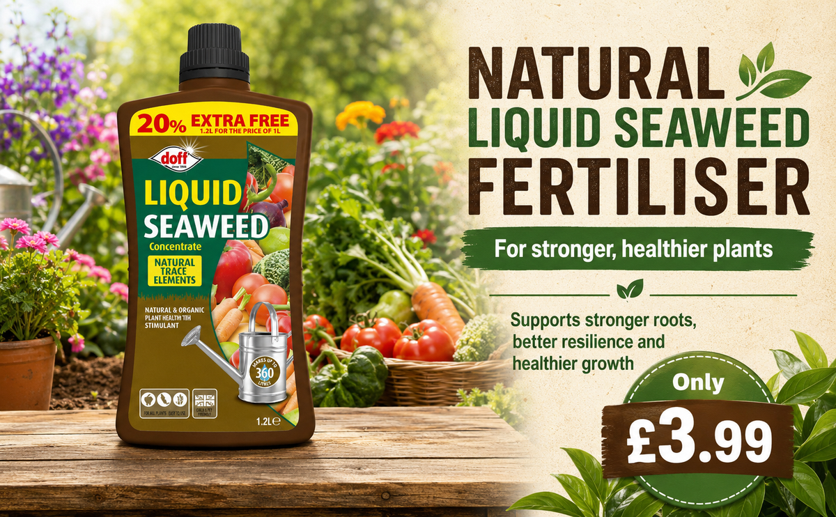 Doff Liquid Seaweed Fertiliser 1.2L – 360L Concentrate