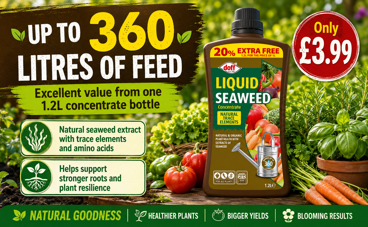 Doff Liquid Seaweed Fertiliser 1.2L – 360L Concentrate
