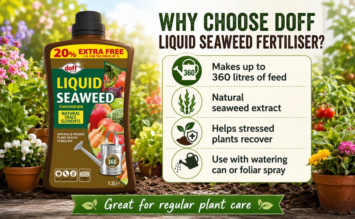 Doff Liquid Seaweed Fertiliser 1.2L – 360L Concentrate