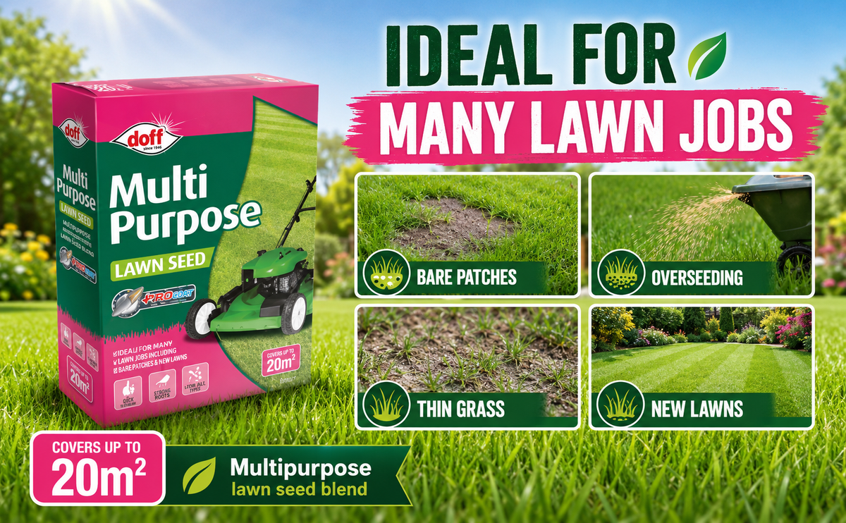 Doff Grass Seed 500g – Fast Germinating Lawn Seed