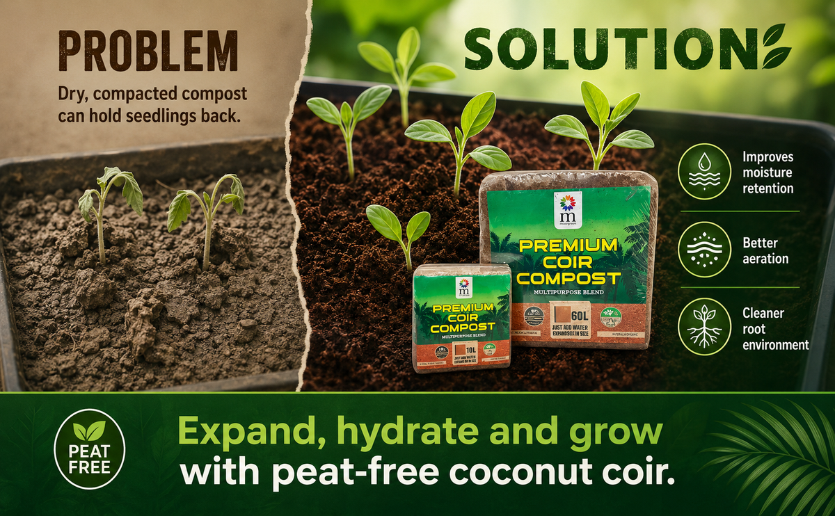 Moorgreen Peat Free Coir Compost