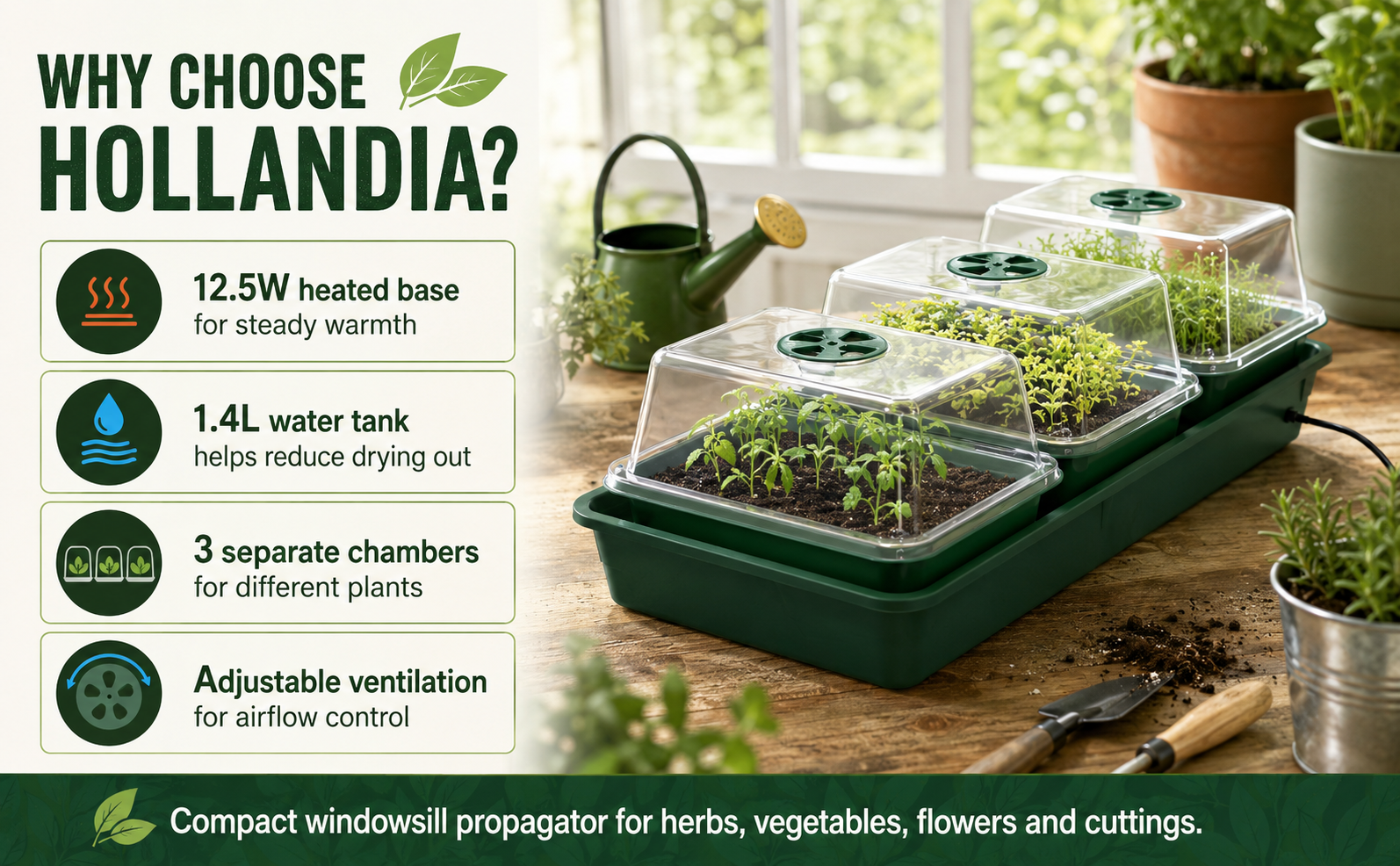 Biogreen Hollandia Heated Propagator 1.4L Tank – 3 Chambers